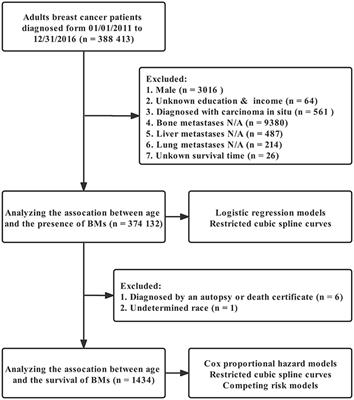 Association between age and the presence and mortality of breast cancer synchronous brain metastases in the United States: A neglected SEER analysis